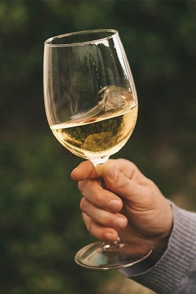 wine-img-1 wine-img-1